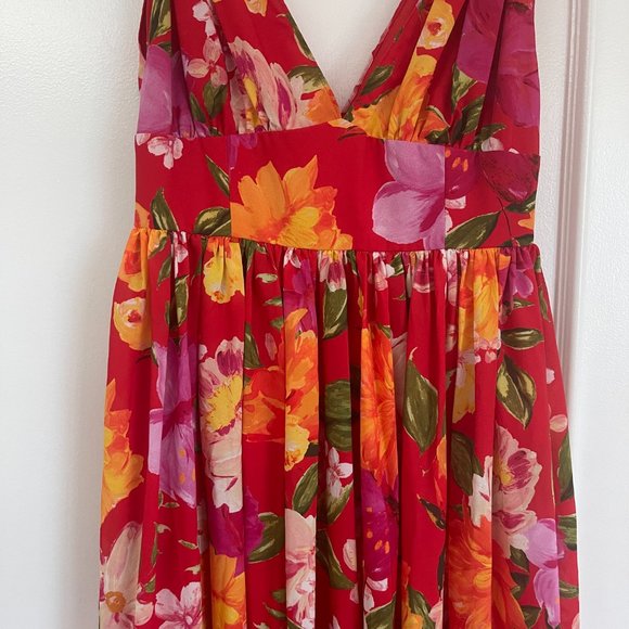 Ronny Kobo Maxi Dress - Picture 5 of 6